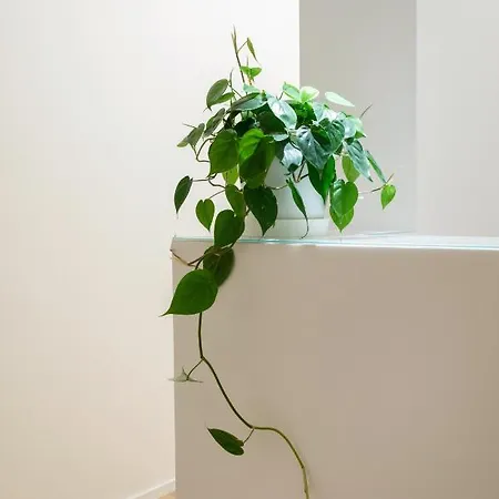 Mori's Pensjonat