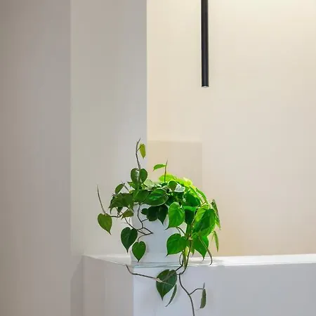 Mori's 巴勒莫