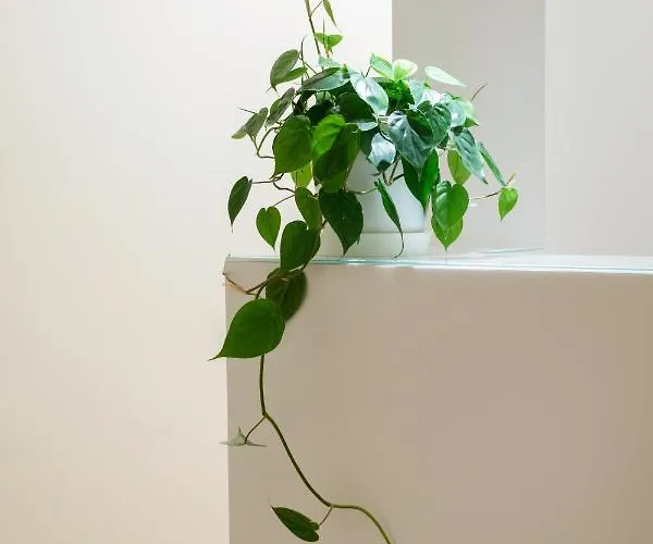 Mori's ゲストハウス